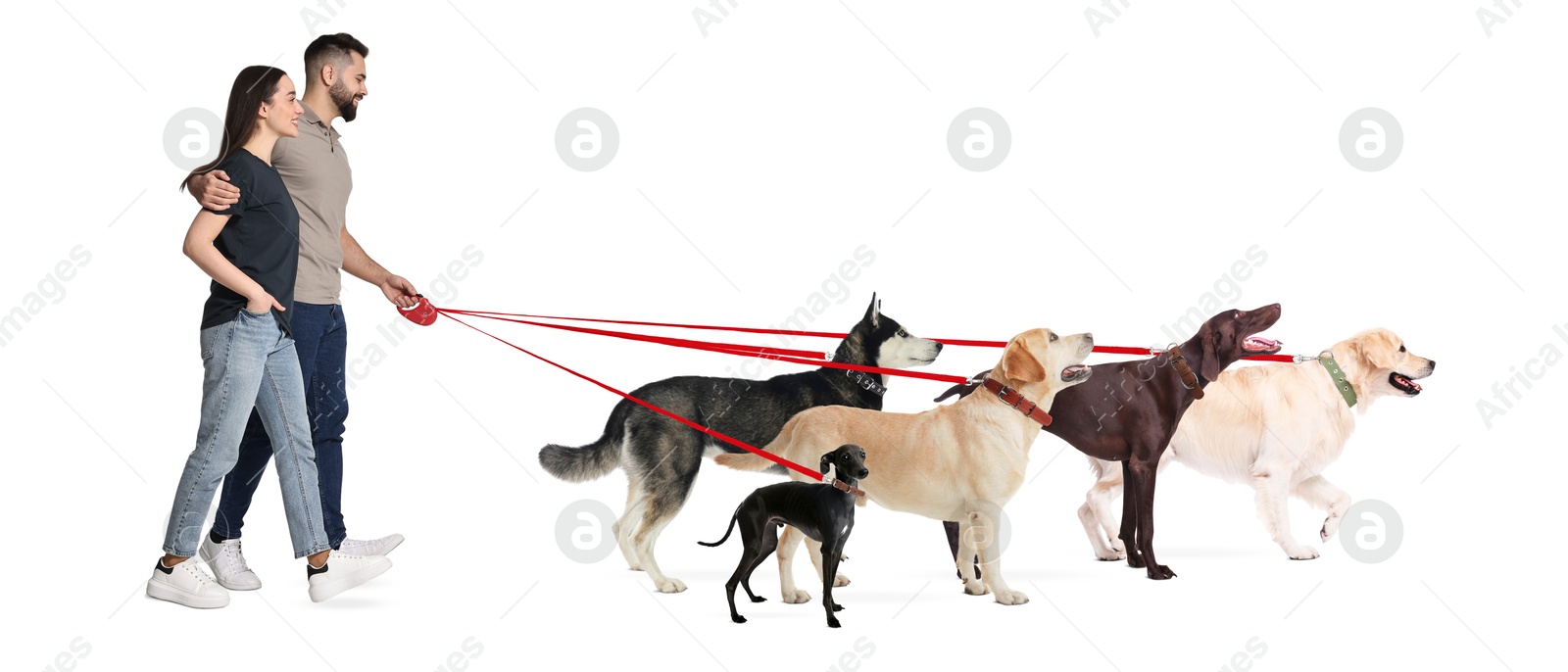 Image of Young man and woman with five different dogs on white background. Dog walking service