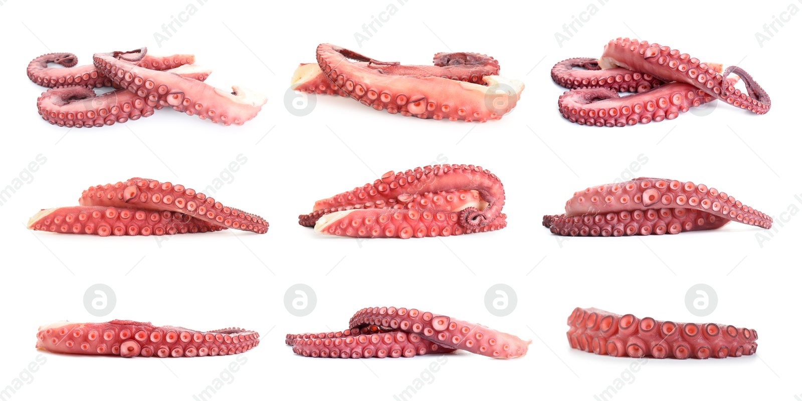 Image of Raw octopus tentacles isolated on white, collage