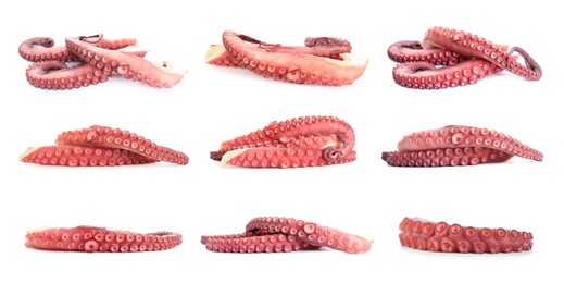 Image of Raw octopus tentacles isolated on white, collage