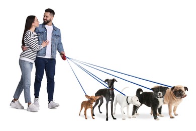 Image of Young man and woman with five different dogs on white background. Dog walking service