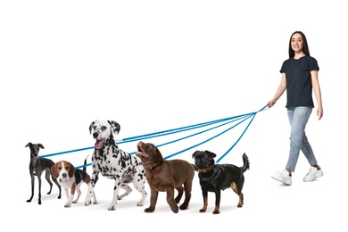 Image of Young woman with five different dogs on white background. Dog walking service