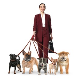 Image of Young woman with five different dogs on white background. Dog walking service