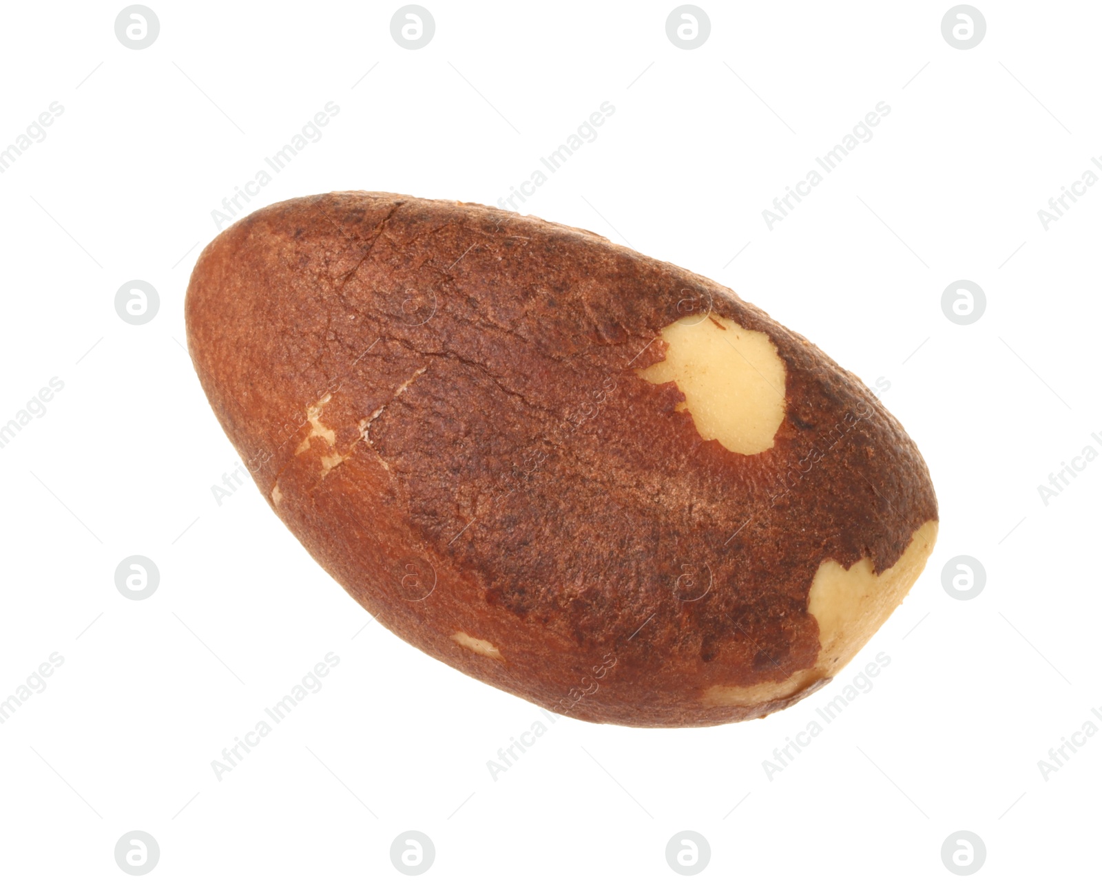 Photo of One tasty Brazil nut isolated on white