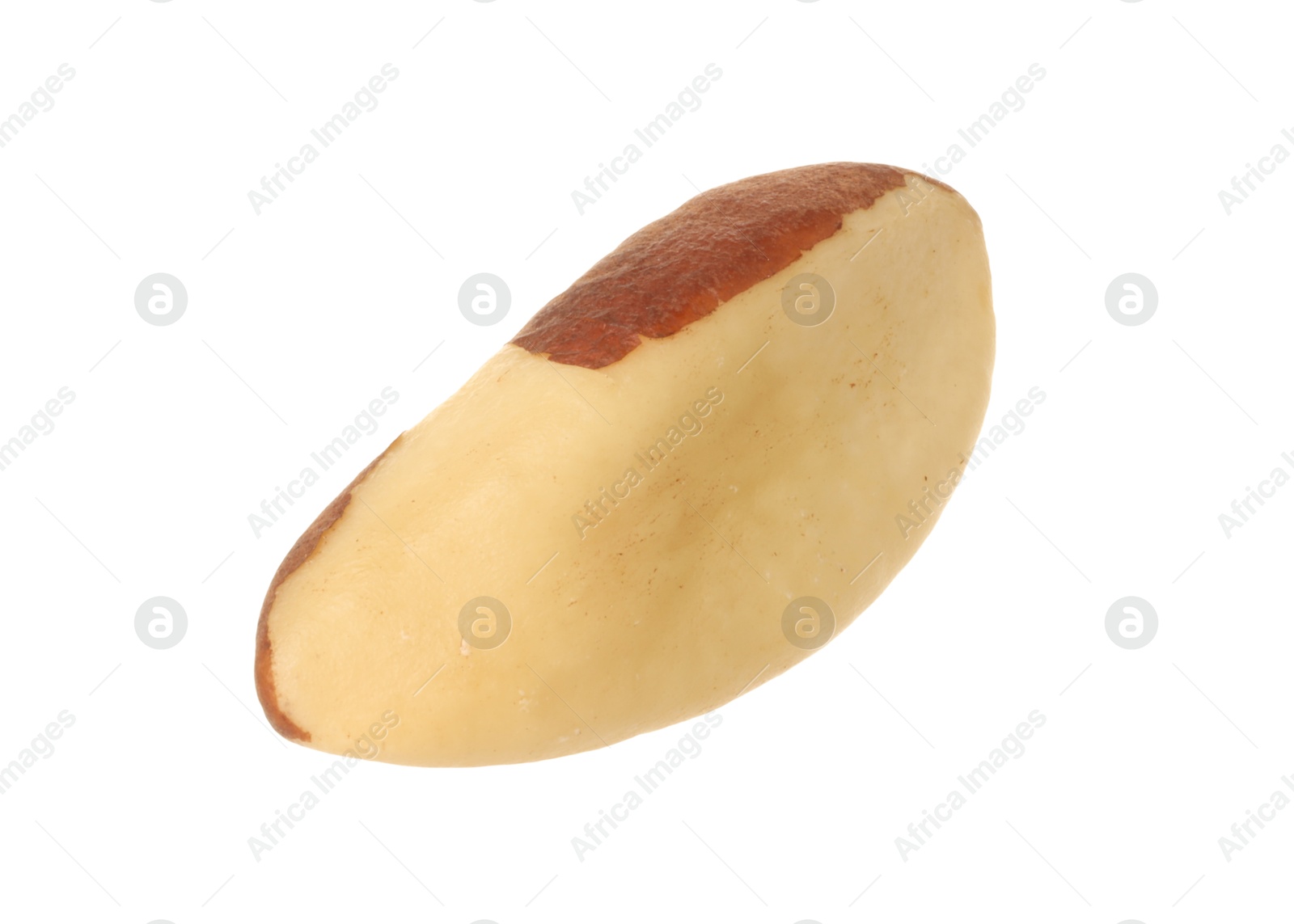 Photo of One tasty Brazil nut isolated on white