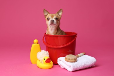 Photo of Cute funny dog in plastic bucket with different accessories for bathing on pink background