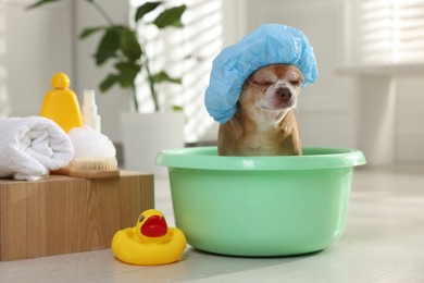 Photo of Cute funny dog with shower cap and different accessories for bathing at home