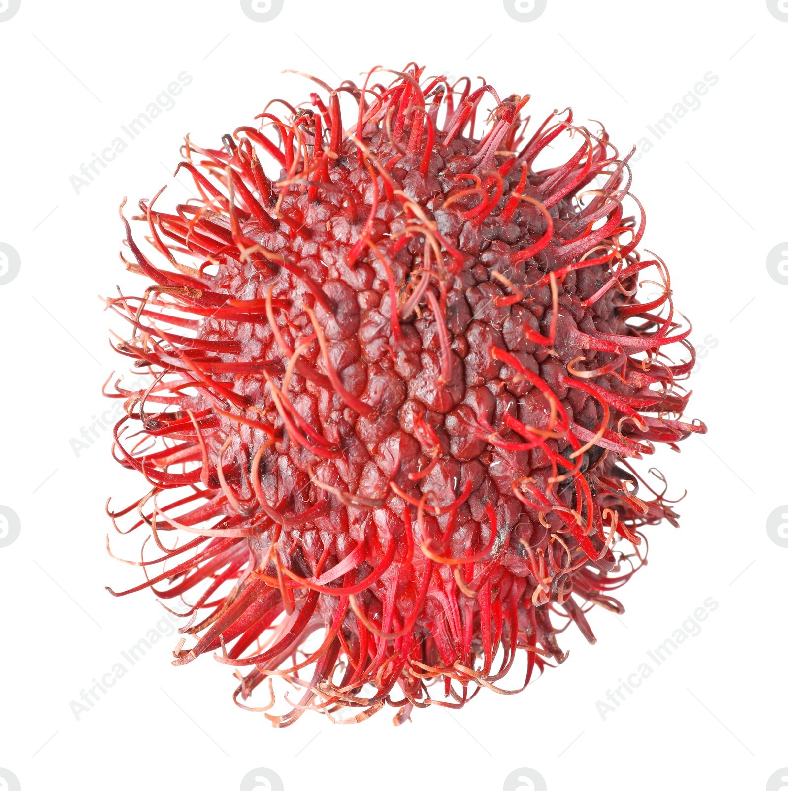 Photo of Delicious ripe rambutan isolated on white. Exotic fruit