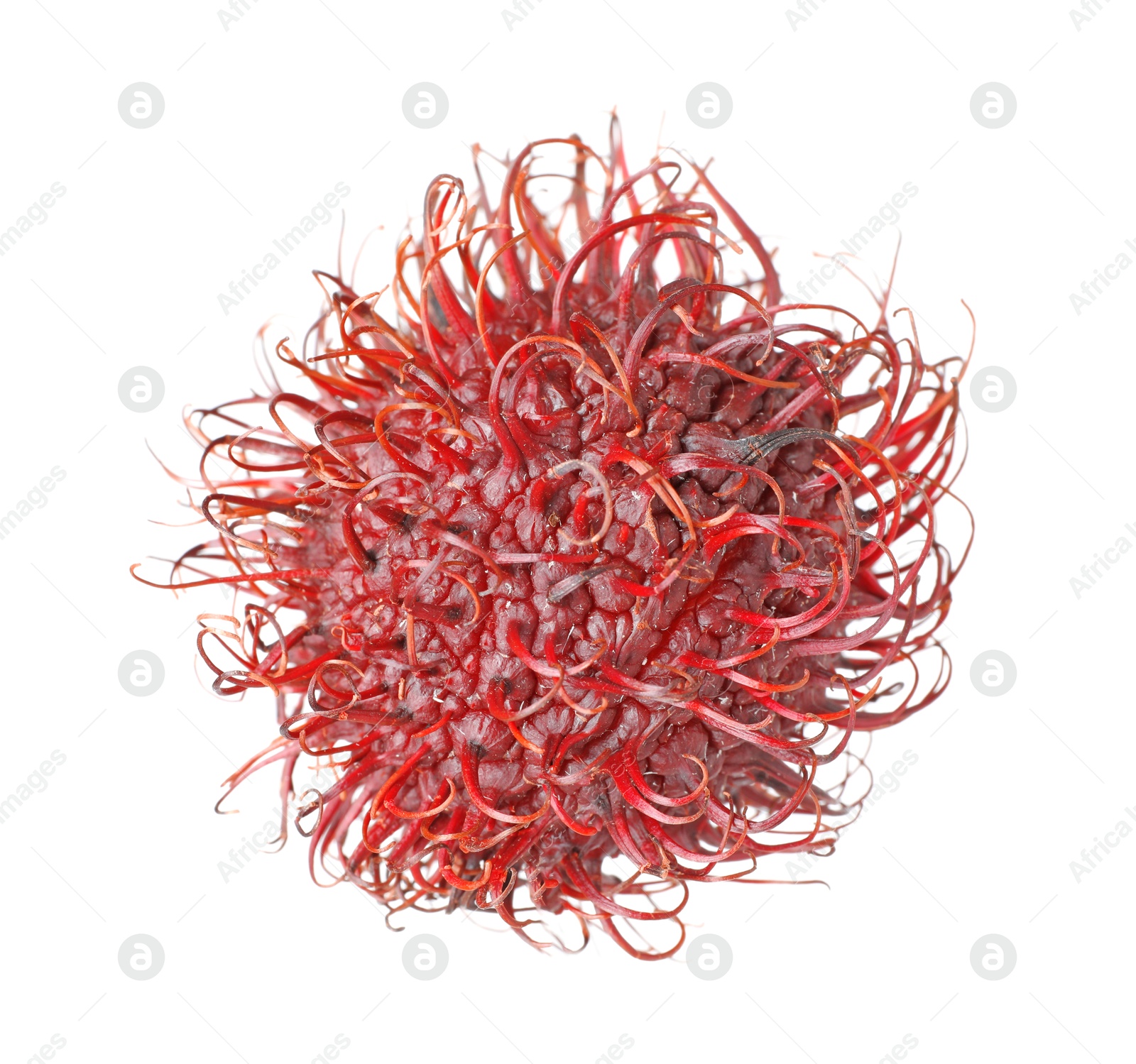 Photo of Delicious ripe rambutan isolated on white. Exotic fruit