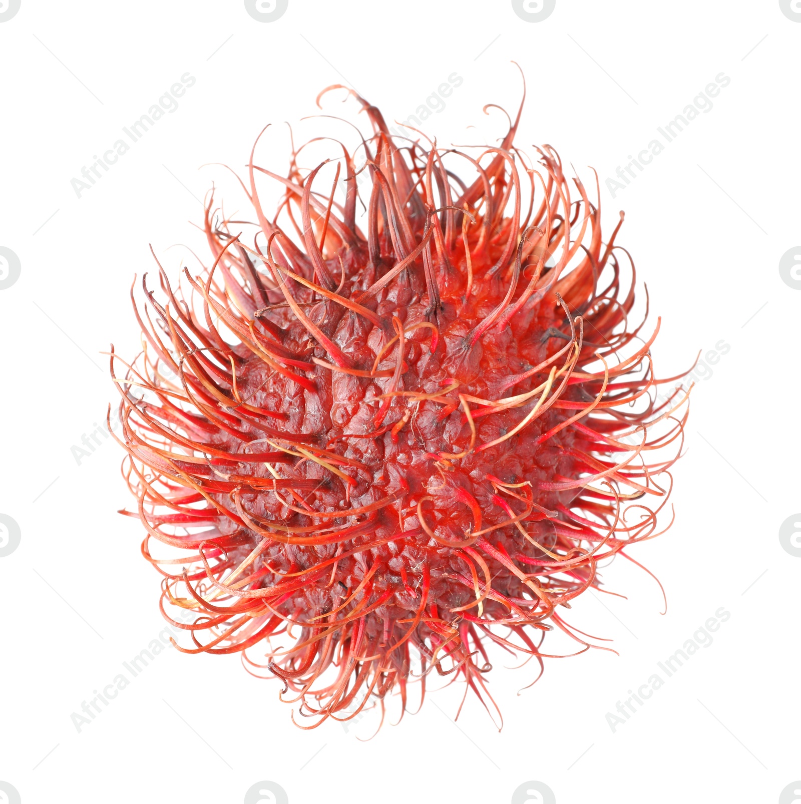 Photo of Delicious ripe rambutan isolated on white. Exotic fruit