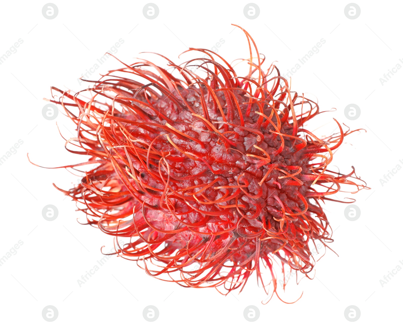 Photo of Delicious ripe rambutan isolated on white. Exotic fruit