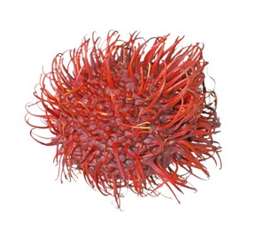 Delicious ripe rambutan isolated on white. Exotic fruit