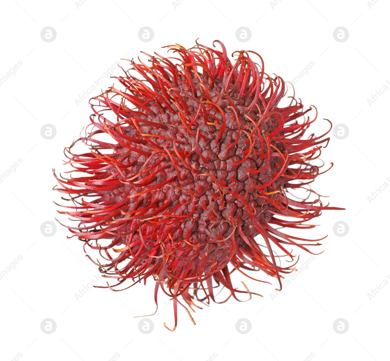 Photo of Delicious ripe rambutan isolated on white. Exotic fruit