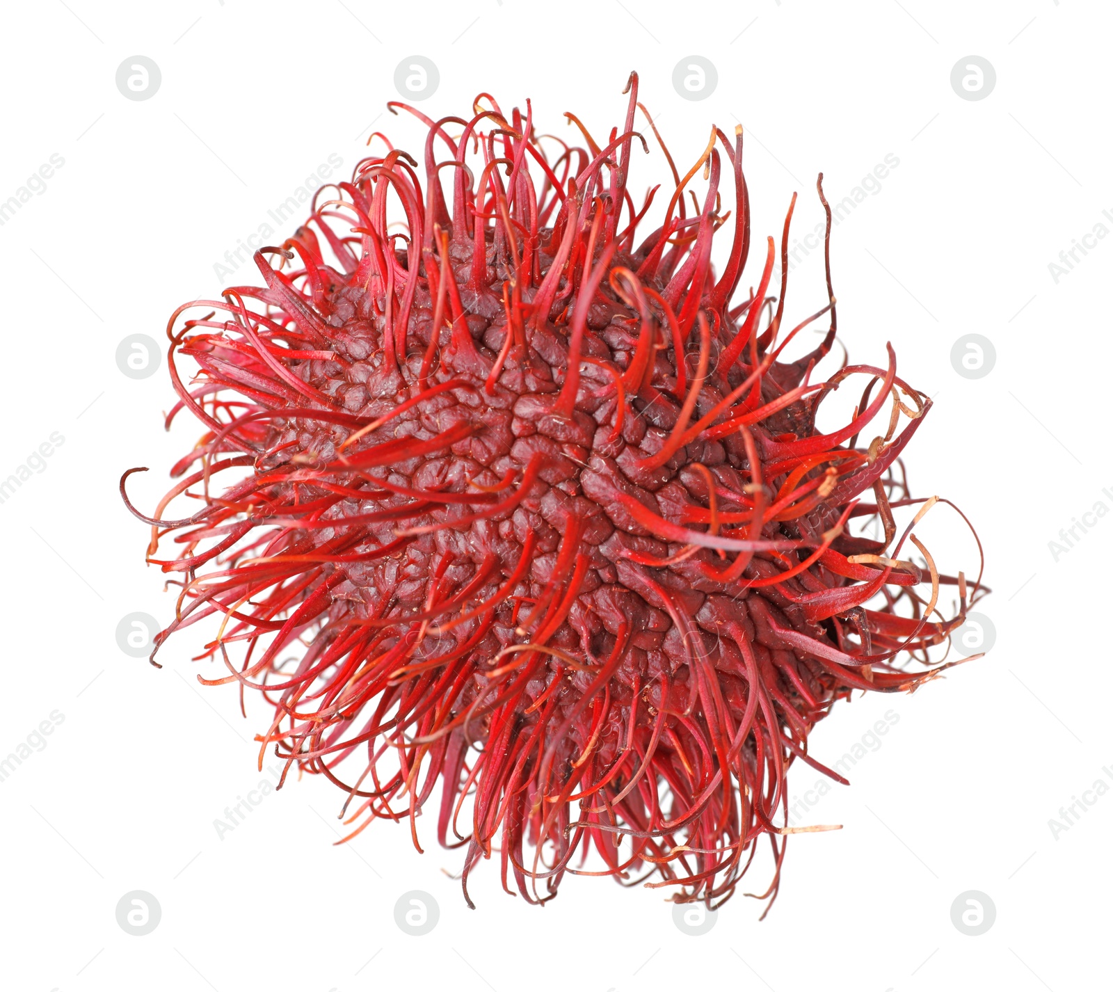 Photo of Delicious ripe rambutan isolated on white. Exotic fruit