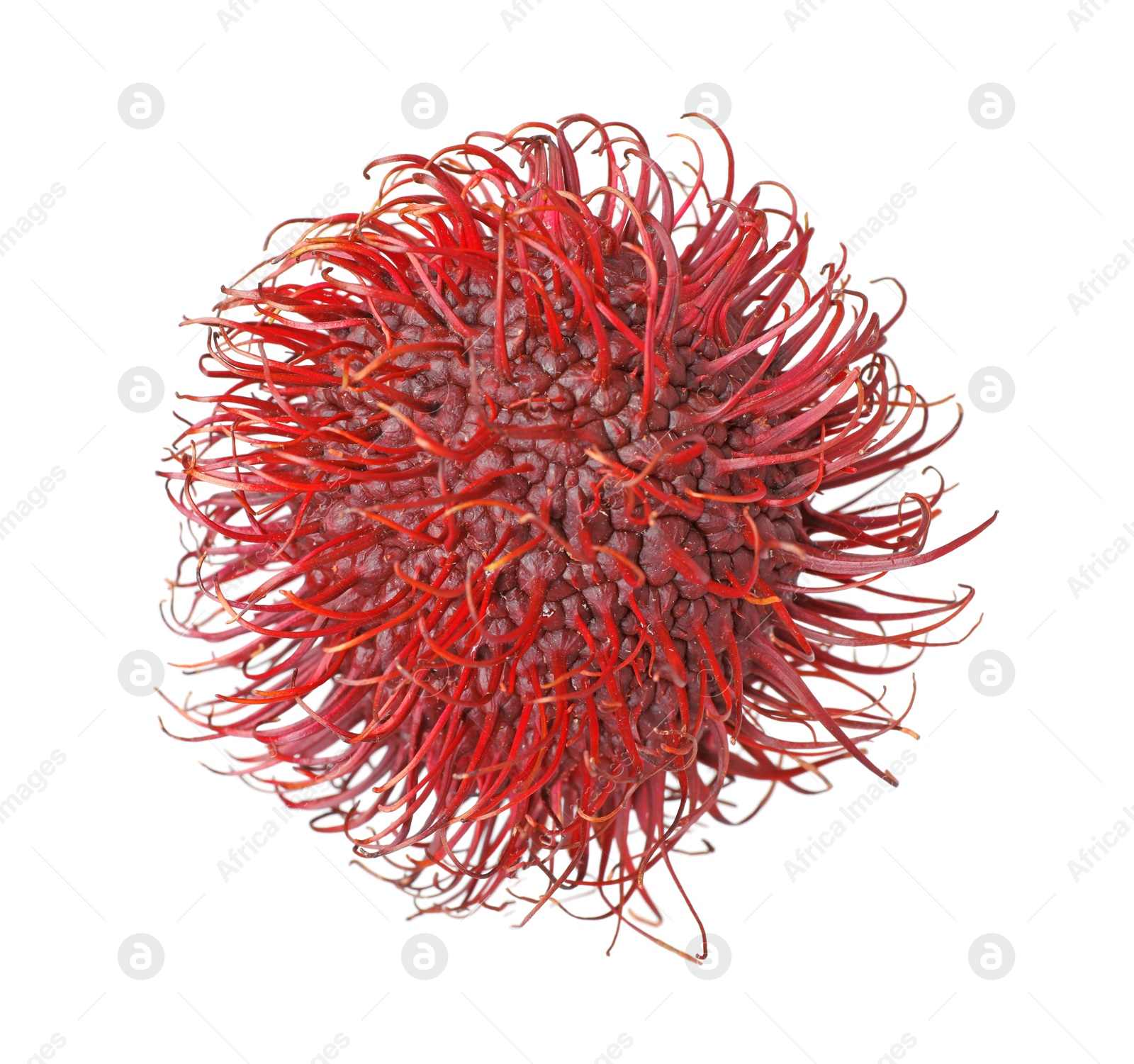 Photo of Delicious ripe rambutan isolated on white. Exotic fruit