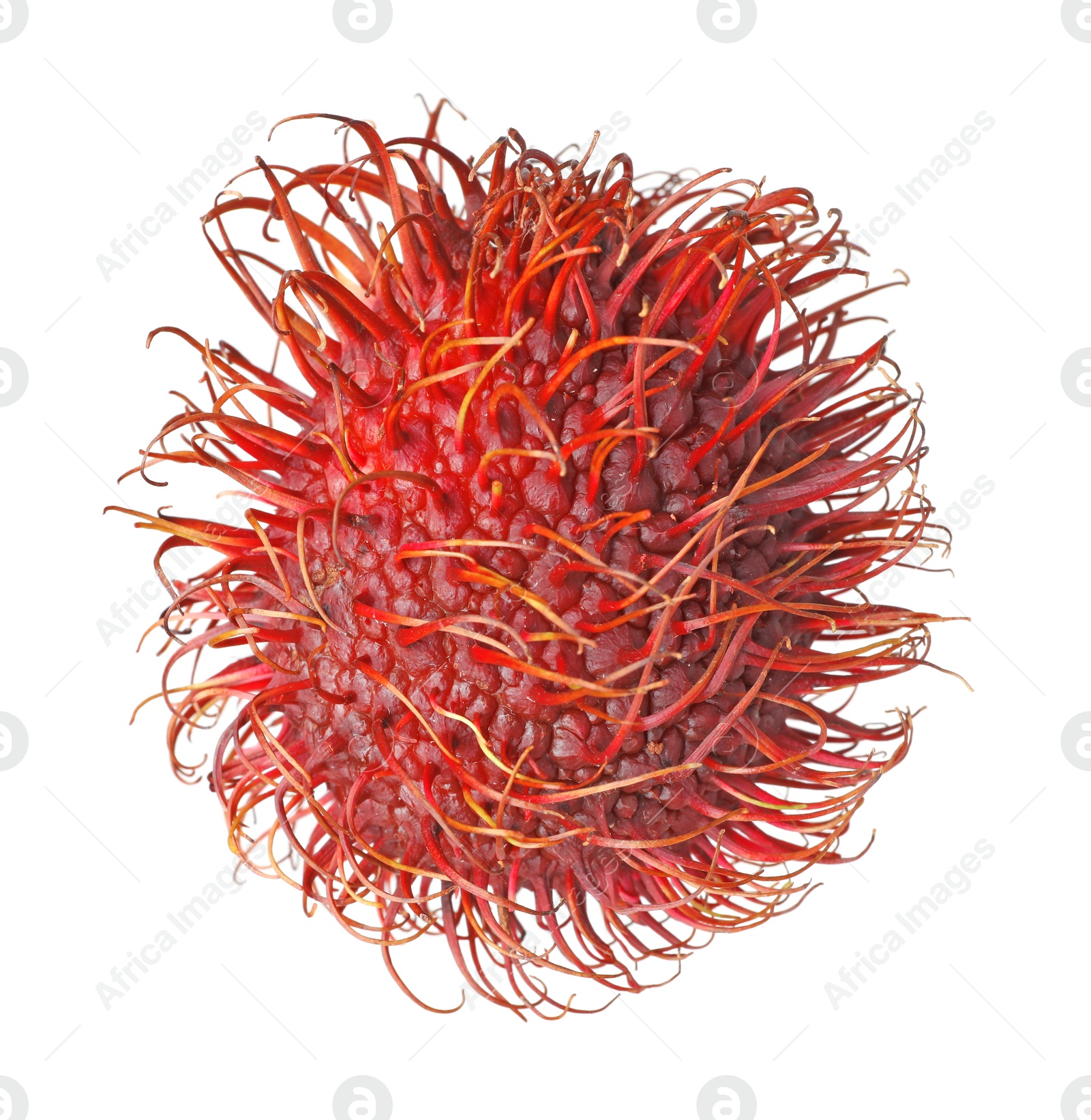 Photo of Delicious ripe rambutan isolated on white. Exotic fruit