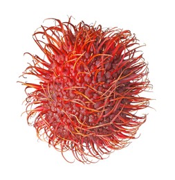 Photo of Delicious ripe rambutan isolated on white. Exotic fruit