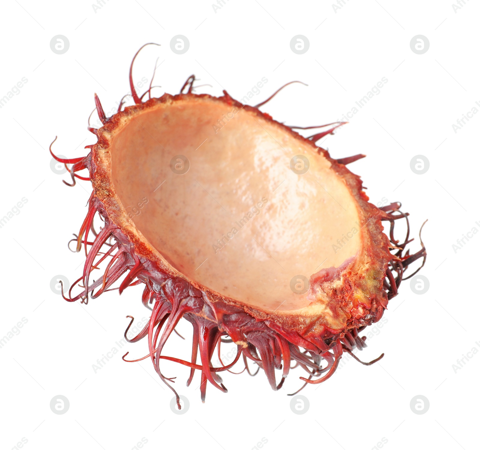 Photo of Shell of rambutan isolated on white. Exotic fruit