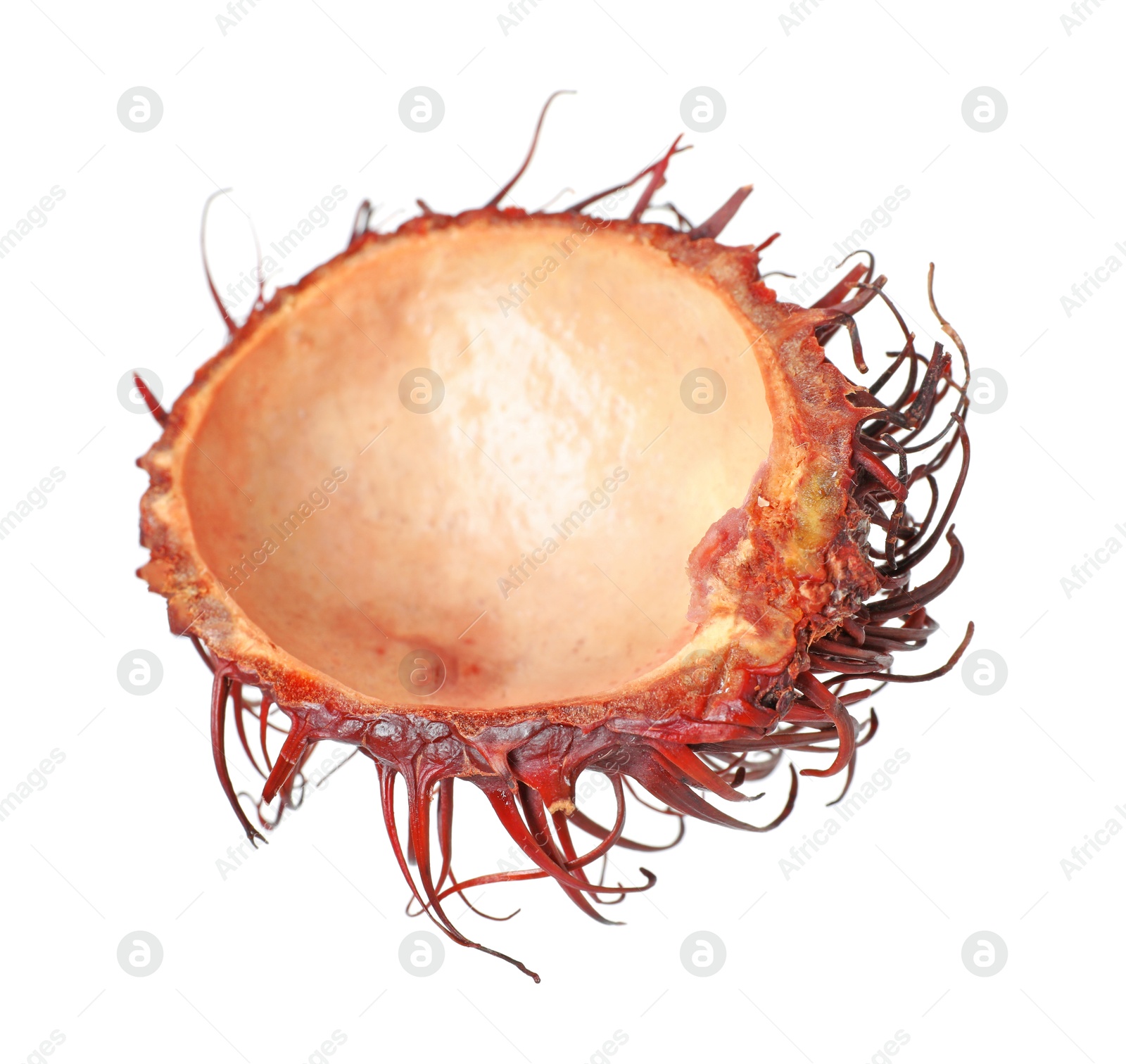 Photo of Shell of rambutan isolated on white. Exotic fruit