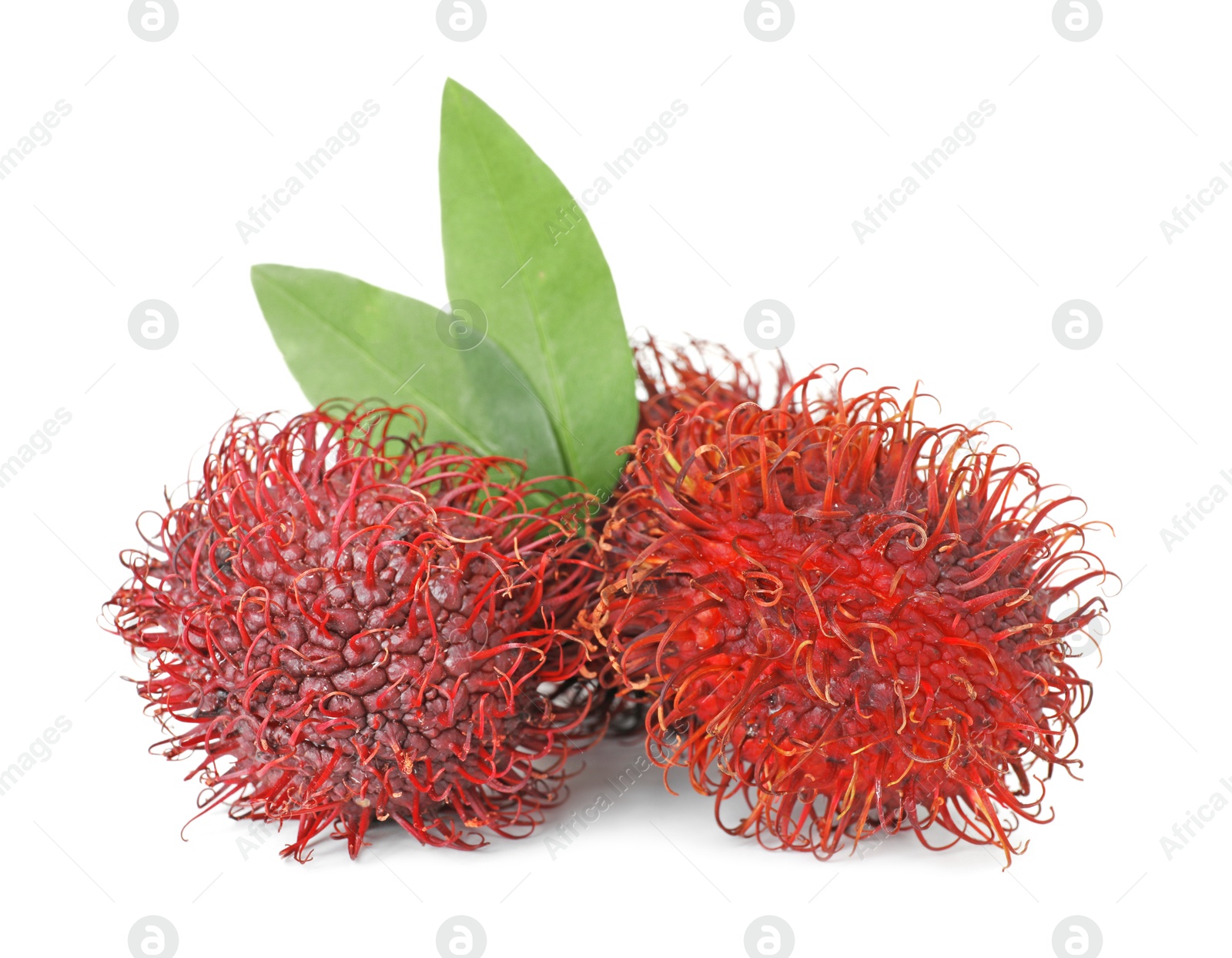 Photo of Delicious ripe rambutans and green leaves isolated on white. Exotic fruit