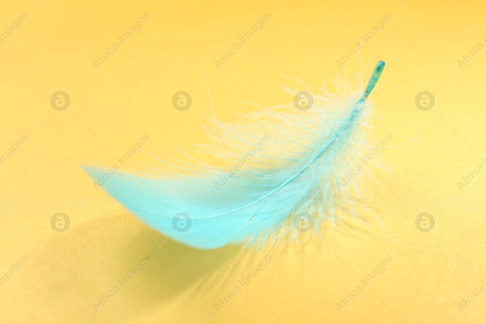 Photo of Fluffy light turquoise feather on yellow background, closeup