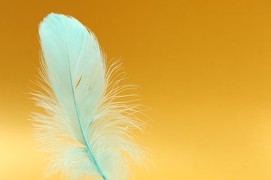 Fluffy light turquoise feather on yellow background, closeup. Space for text