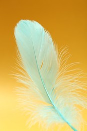 Photo of Fluffy light turquoise feather on yellow background, closeup