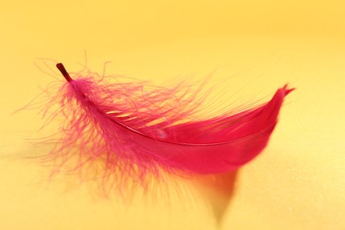 Fluffy red feather on yellow background, closeup