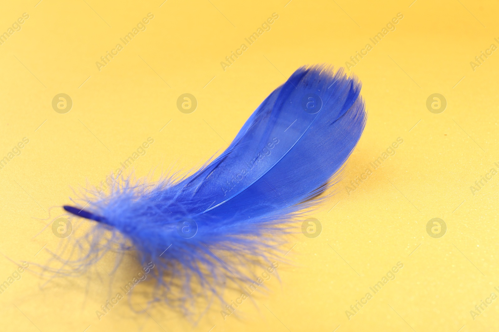 Photo of Fluffy blue feather on yellow background, closeup