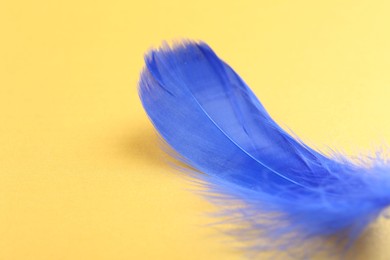 Photo of Fluffy blue feather on yellow background, closeup. Space for text