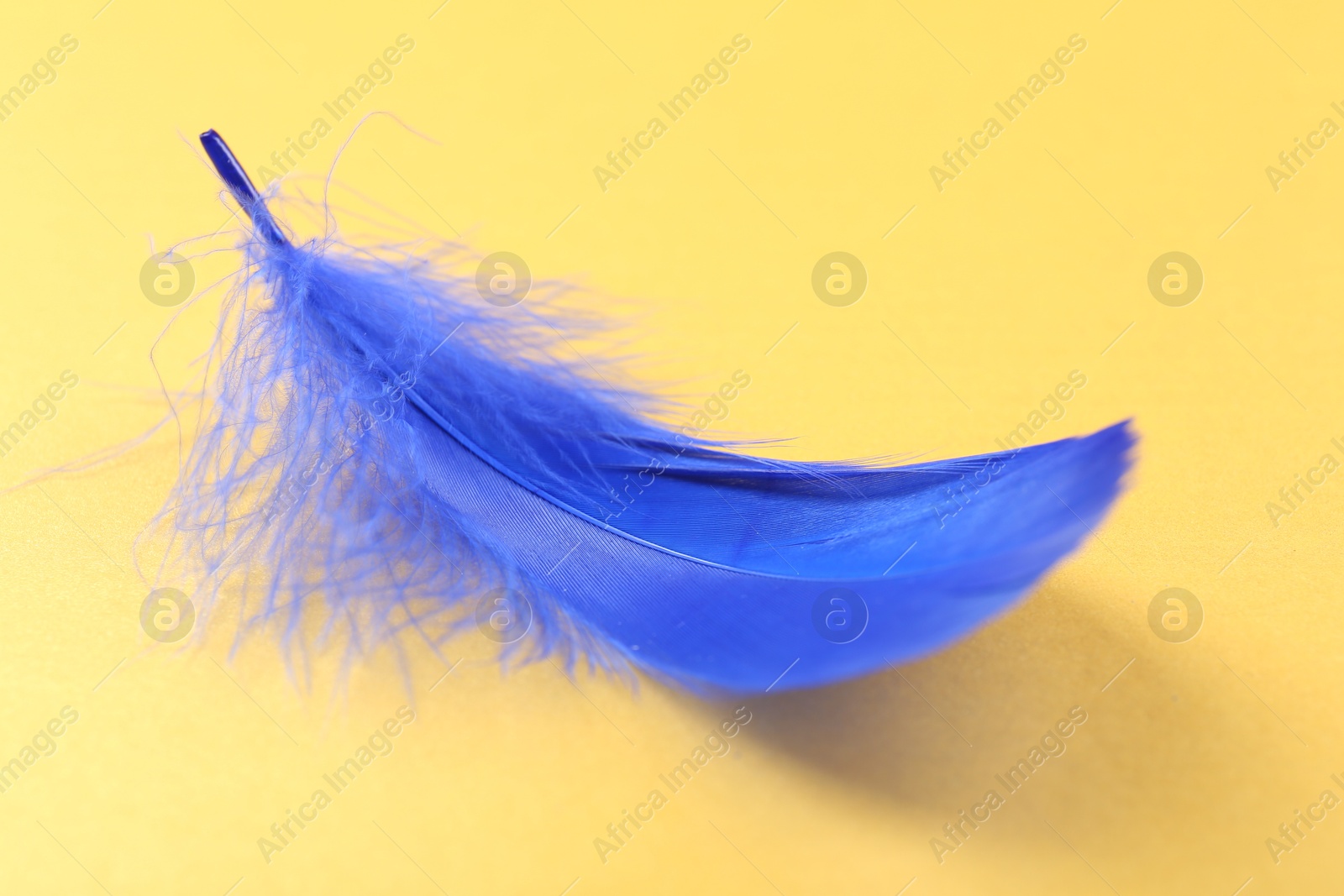 Photo of Fluffy blue feather on yellow background, closeup