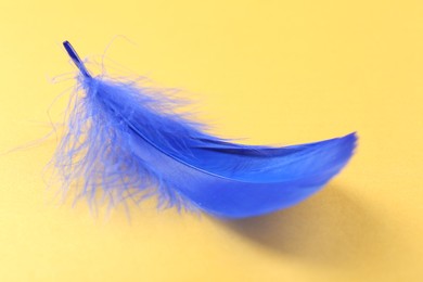 Photo of Fluffy blue feather on yellow background, closeup