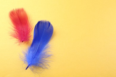 Fluffy blue and red feathers on yellow background, top view. Space for text