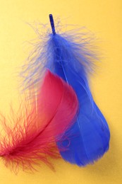 Photo of Fluffy blue and red feathers on yellow background, closeup