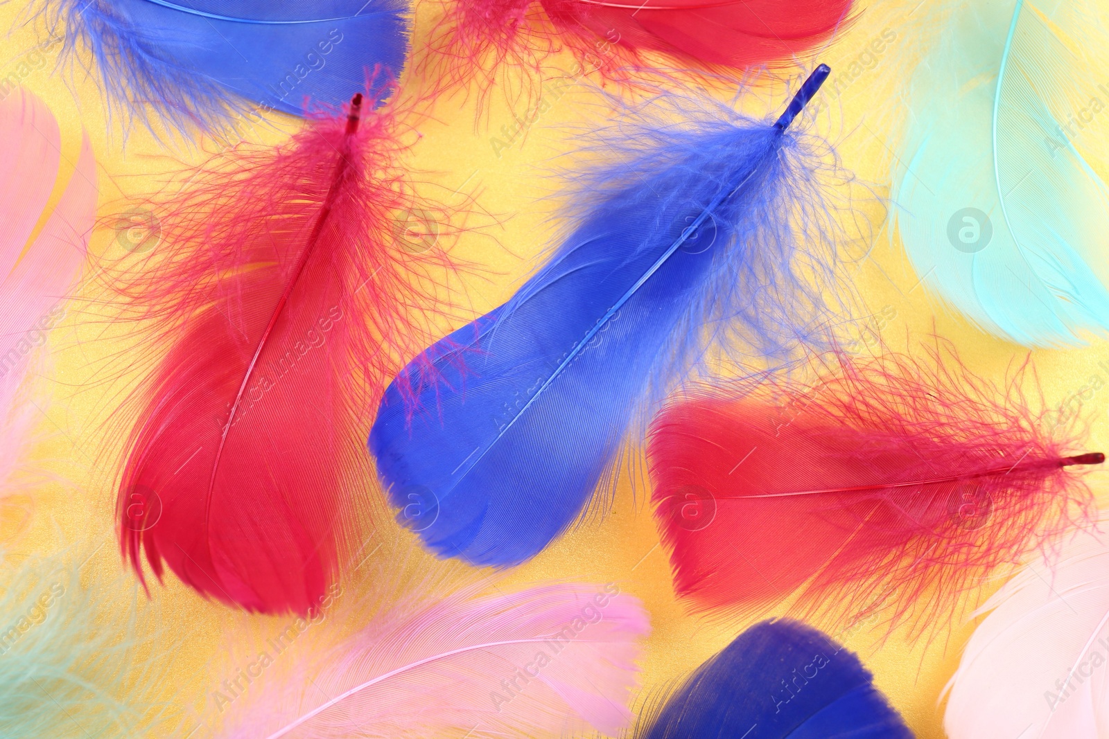 Photo of Fluffy feathers on yellow background, flat lay