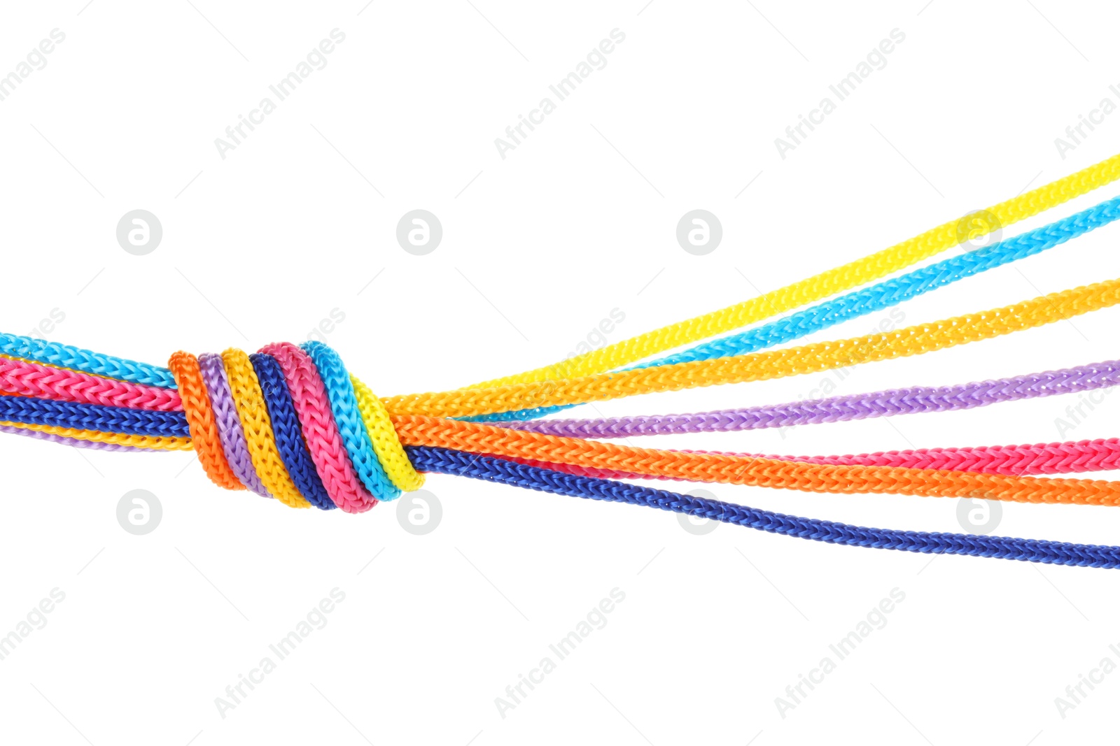 Photo of Colorful ropes tied in knot isolated on white. Unity concept