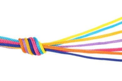 Colorful ropes tied in knot isolated on white. Unity concept