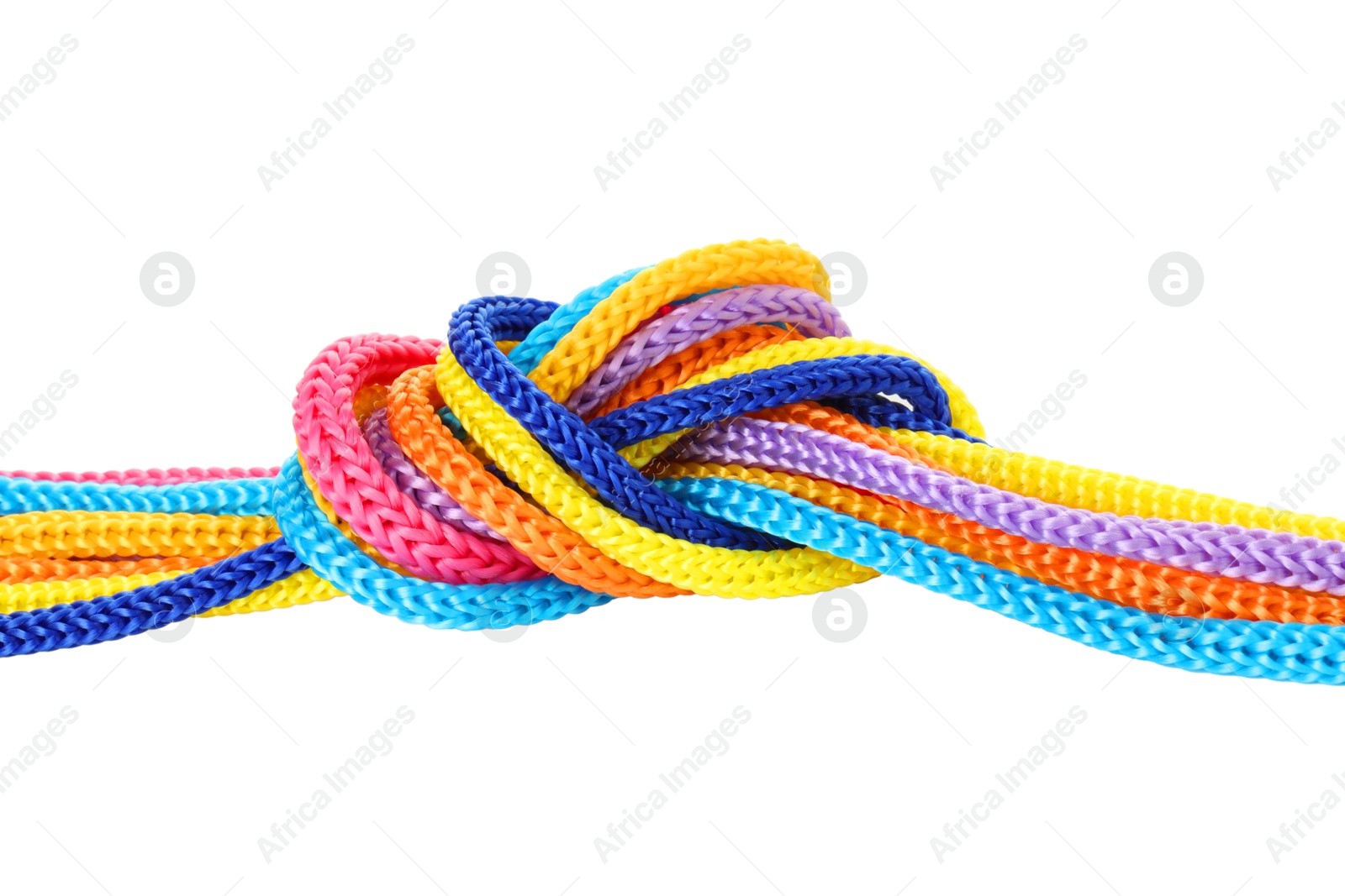 Photo of Colorful ropes tied in knot isolated on white. Unity concept