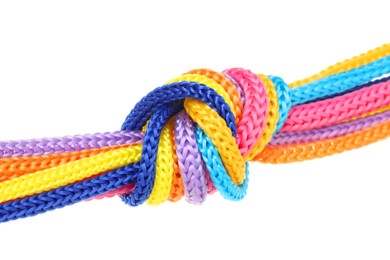 Colorful ropes tied in knot isolated on white. Unity concept