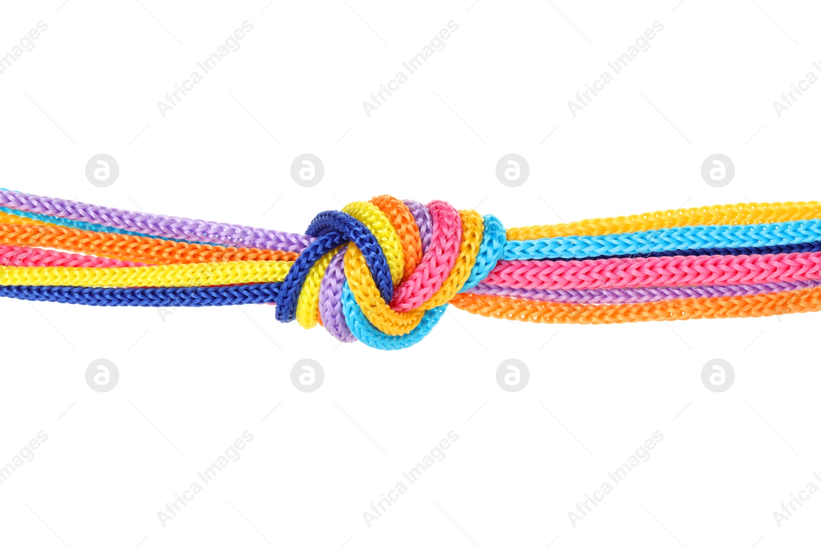 Photo of Colorful ropes tied in knot isolated on white. Unity concept