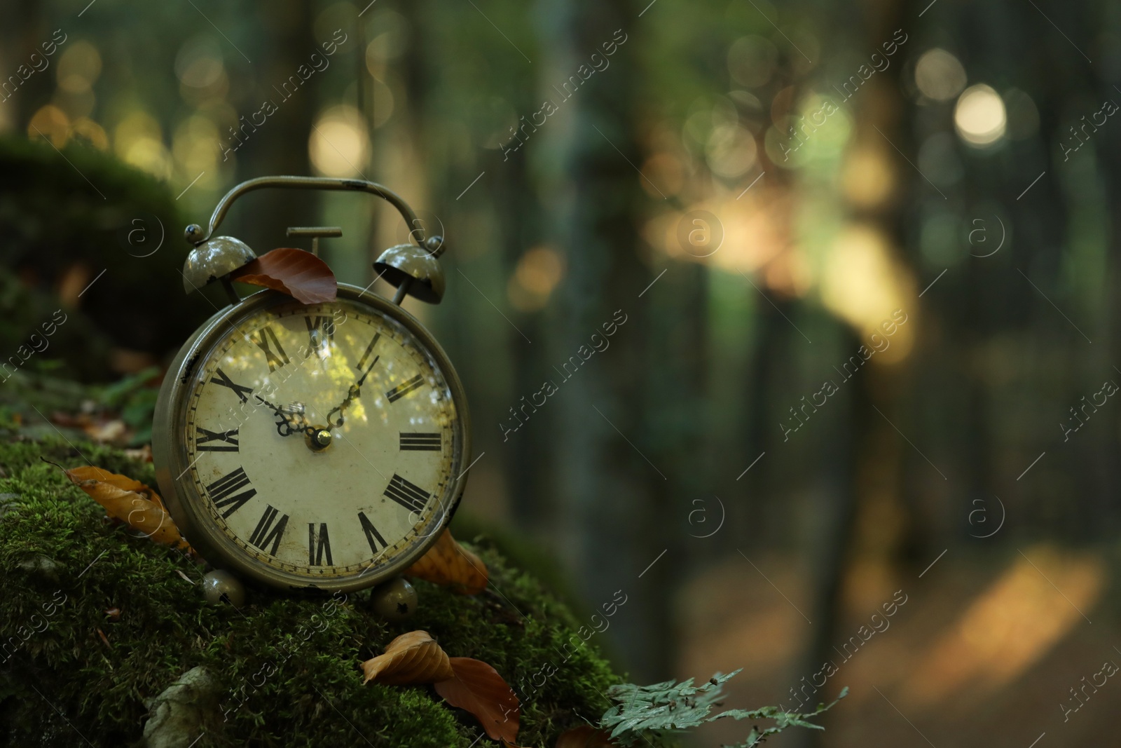 Photo of Alarm clock on green moss outdoors, closeup. Space for text