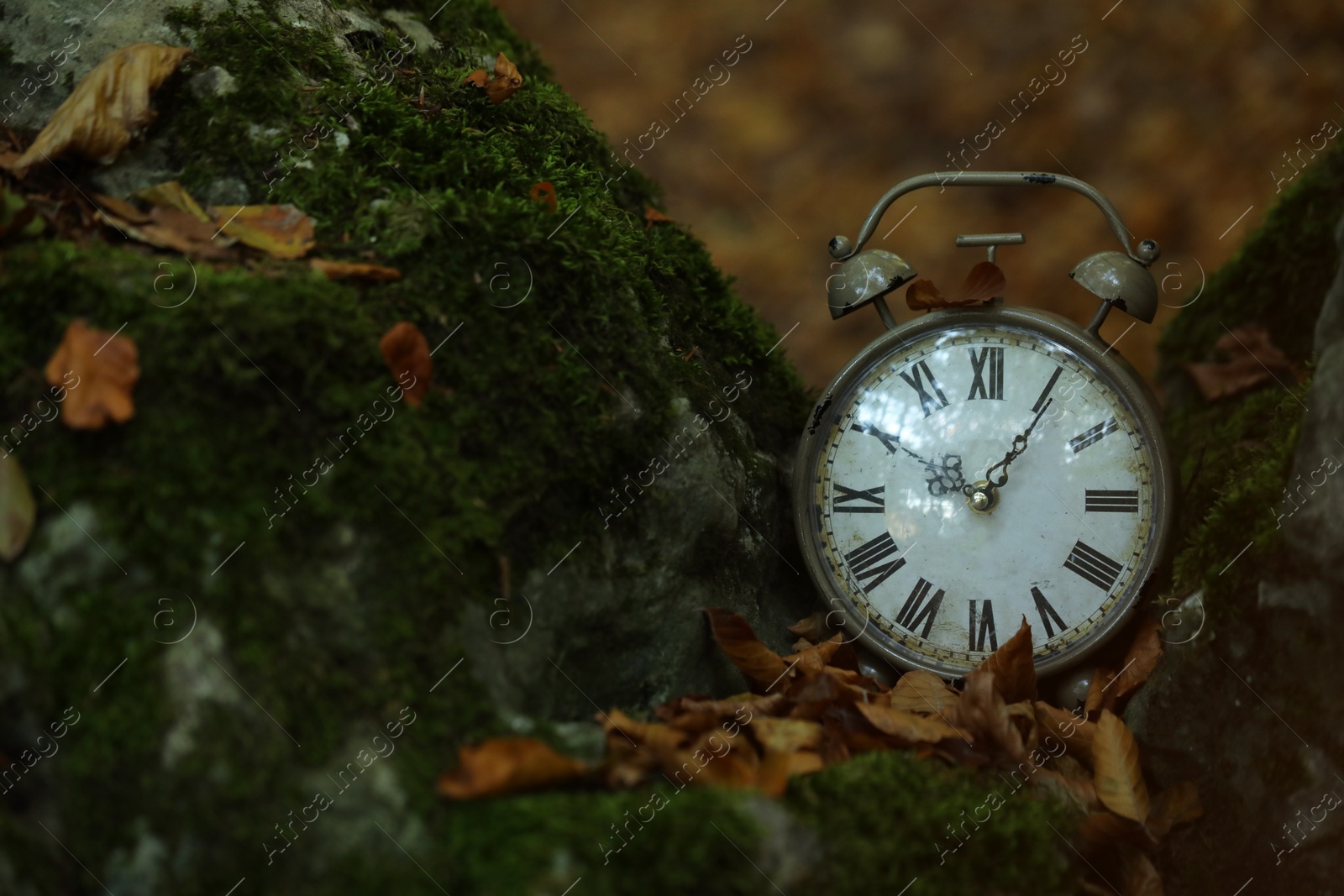 Photo of Alarm clock on fallen dry leaves outdoors, closeup. Space for text