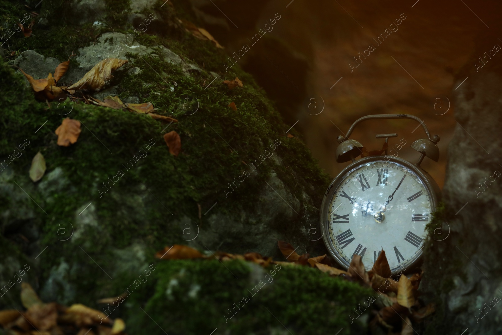 Photo of Alarm clock on fallen dry leaves outdoors, closeup. Space for text