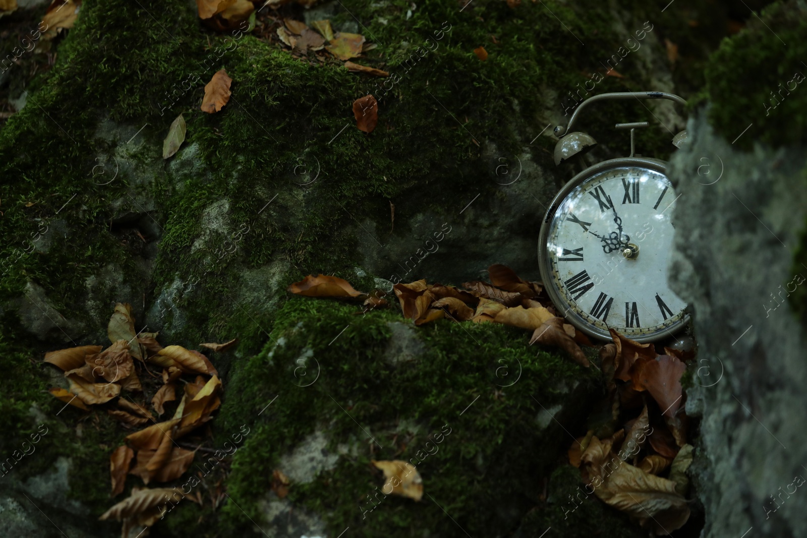 Photo of Alarm clock on fallen dry leaves outdoors, closeup. Space for text