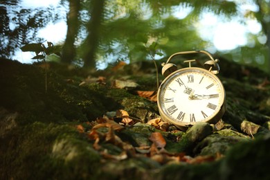 Photo of Alarm clock on fallen dry leaves outdoors, closeup. Space for text