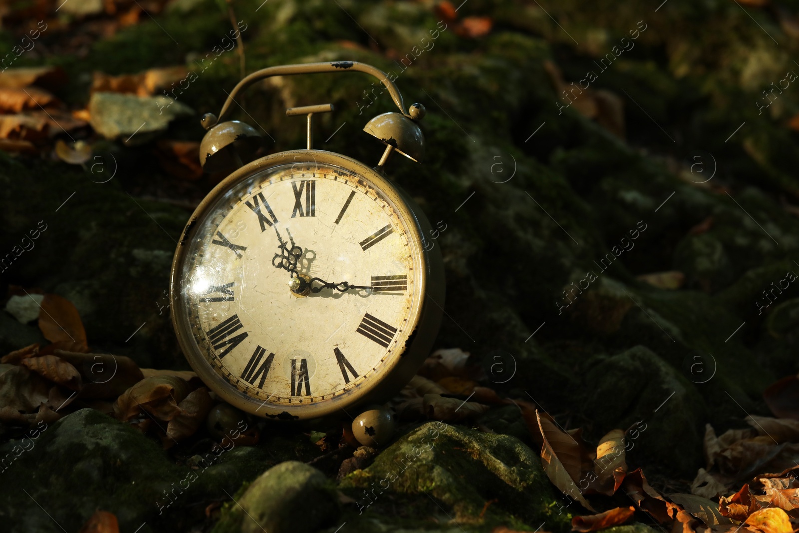 Photo of Alarm clock on fallen dry leaves outdoors, closeup. Space for text