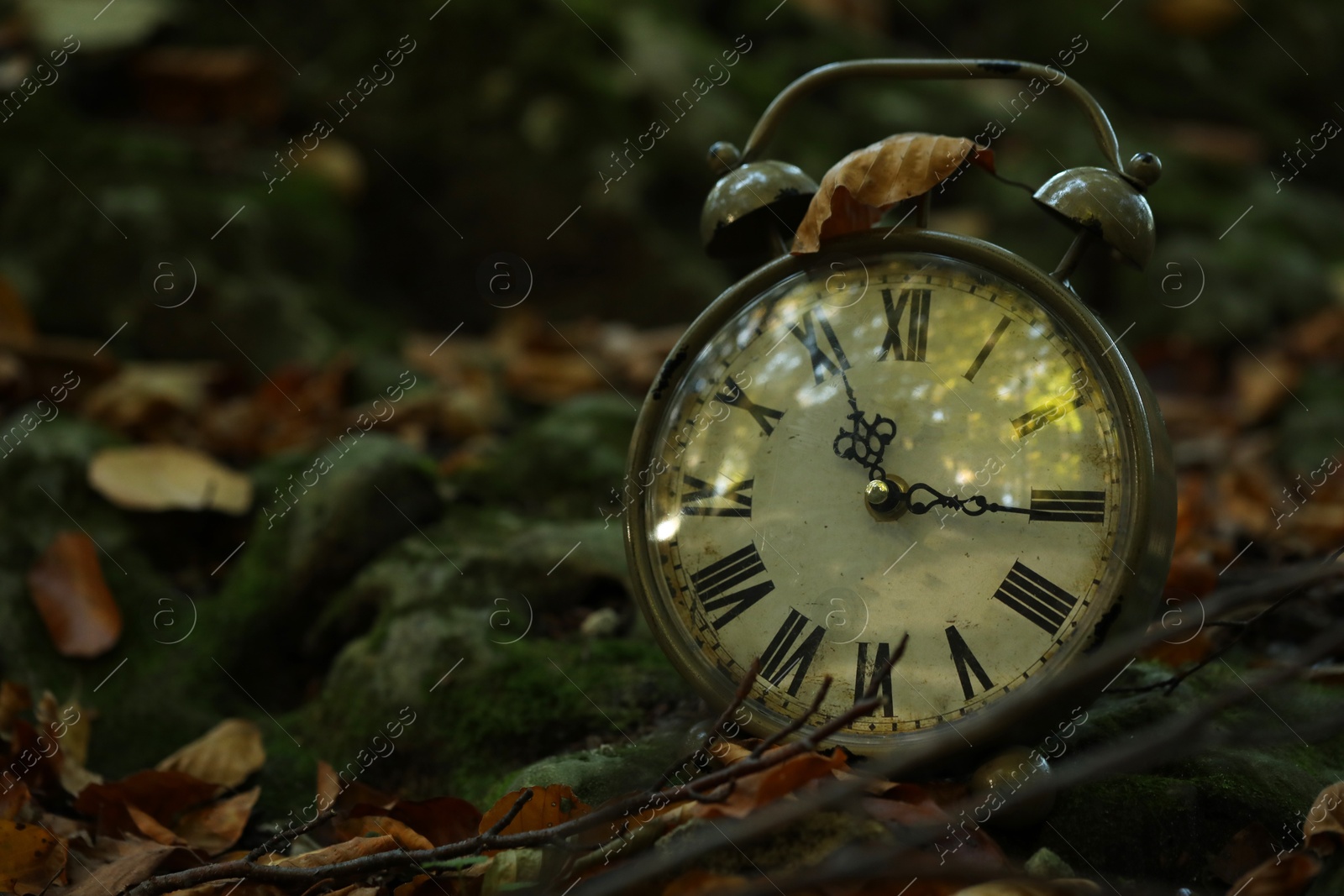 Photo of Alarm clock on fallen dry leaves outdoors, closeup. Space for text