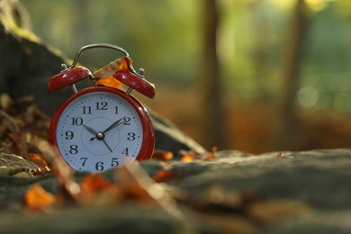 Photo of Alarm clock on fallen dry leaves and stones outdoors, closeup. Space for text