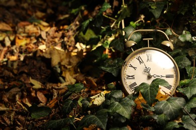 Photo of Alarm clock on fallen dry leaves outdoors, closeup. Space for text