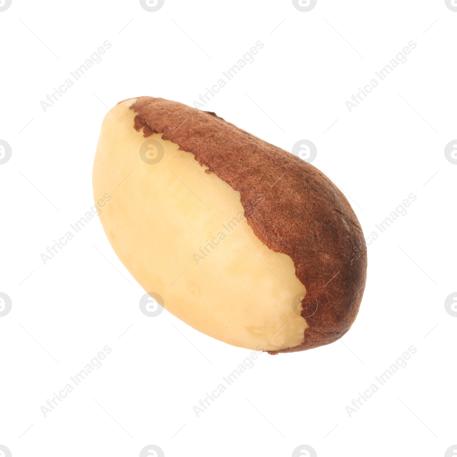 Photo of One tasty Brazil nut isolated on white