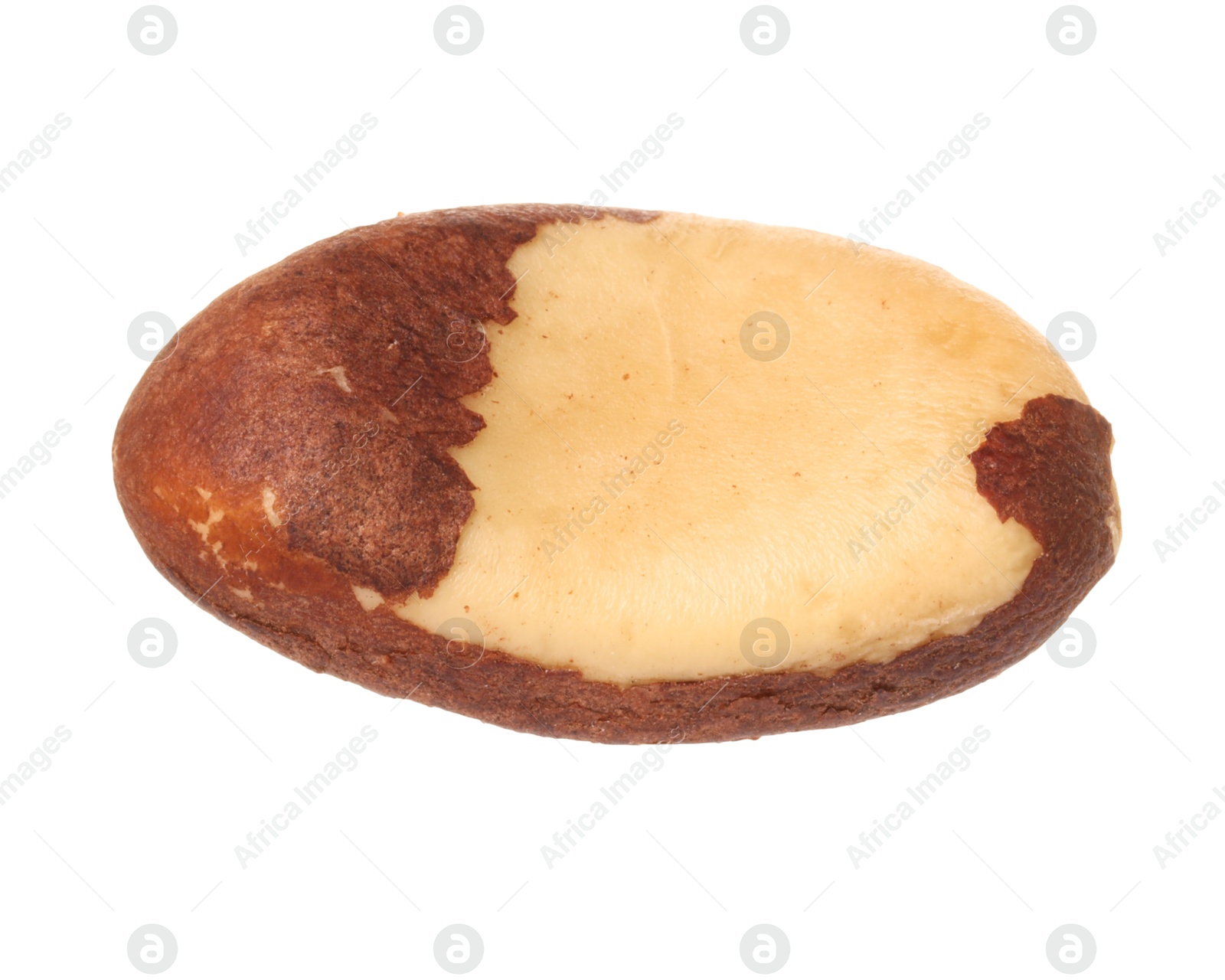 Photo of One tasty Brazil nut isolated on white